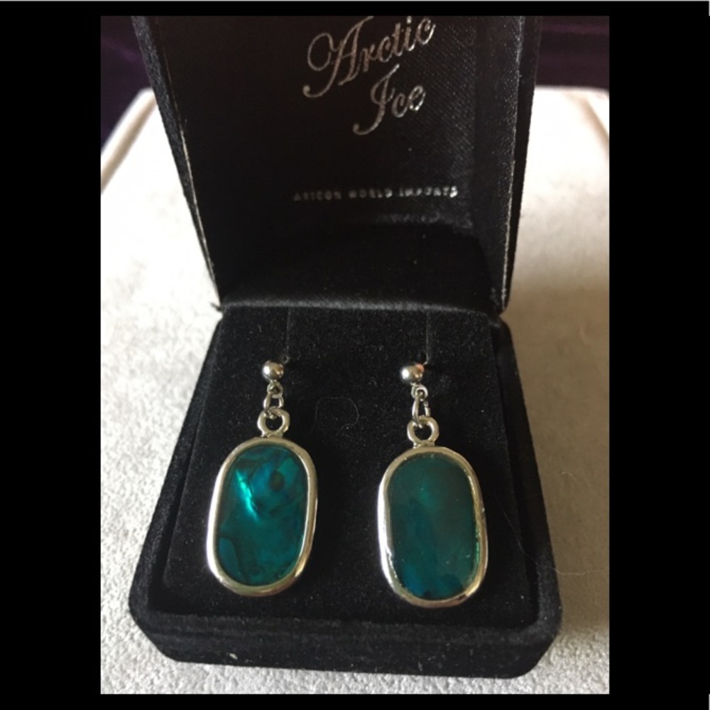 Arctic Ice Earrings NWOT
